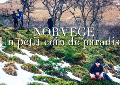 Norvège 09 (allégé).jpg