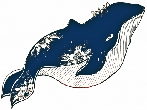 Fanny Feugray - Baleine bleue (détourée 4).jpg